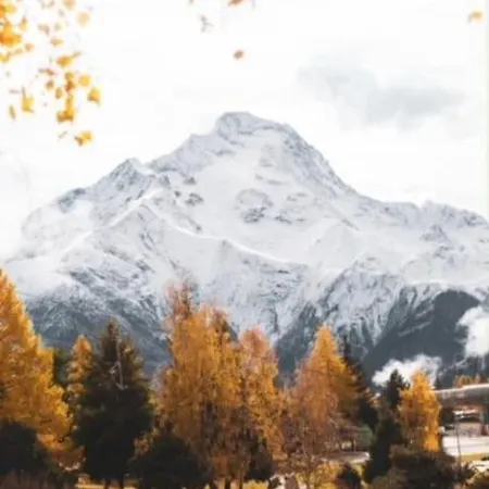Les 2 Alpes - Pied Des Pistes - Plein Centre De La Station Au Calme 公寓 莱德萨阿尔卑斯
